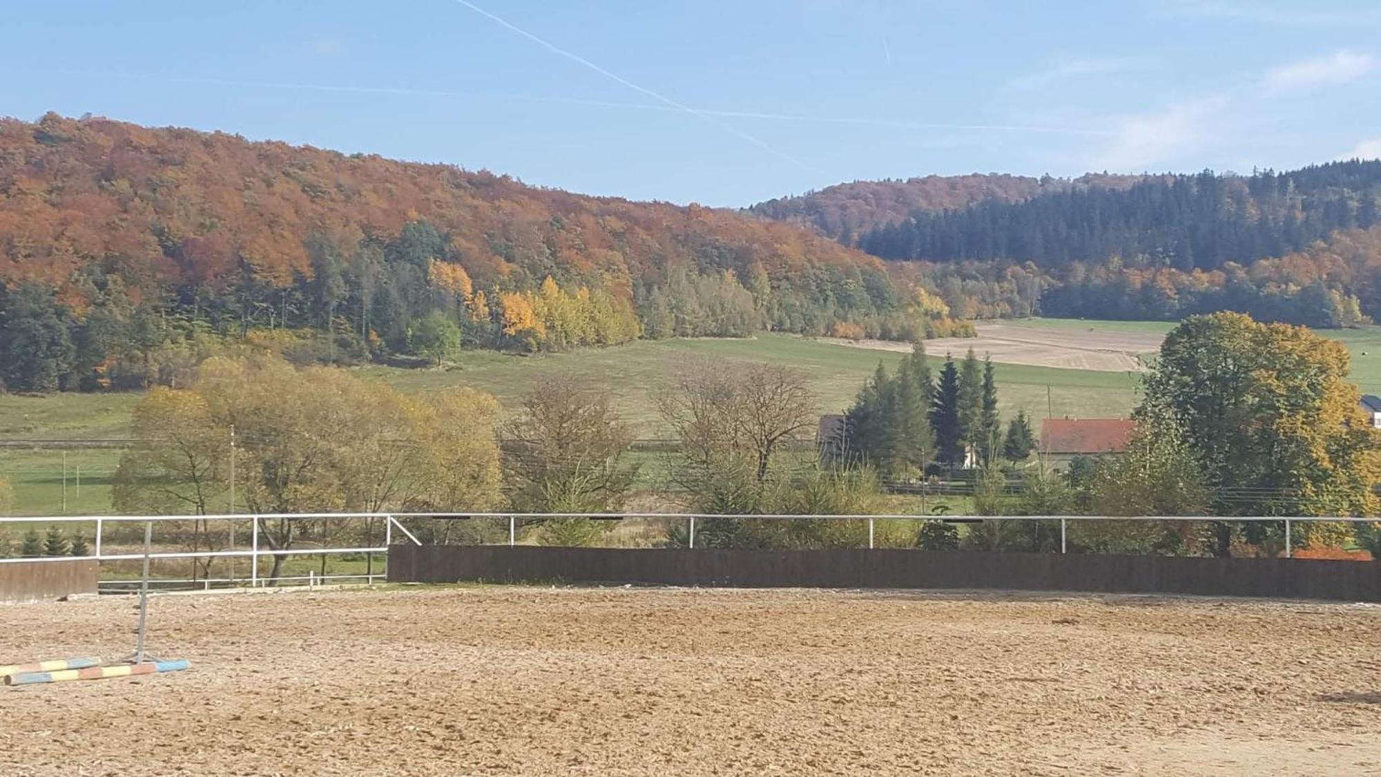 Marciszow Agroturystyka Agro-Podkowka מראה חיצוני תמונה