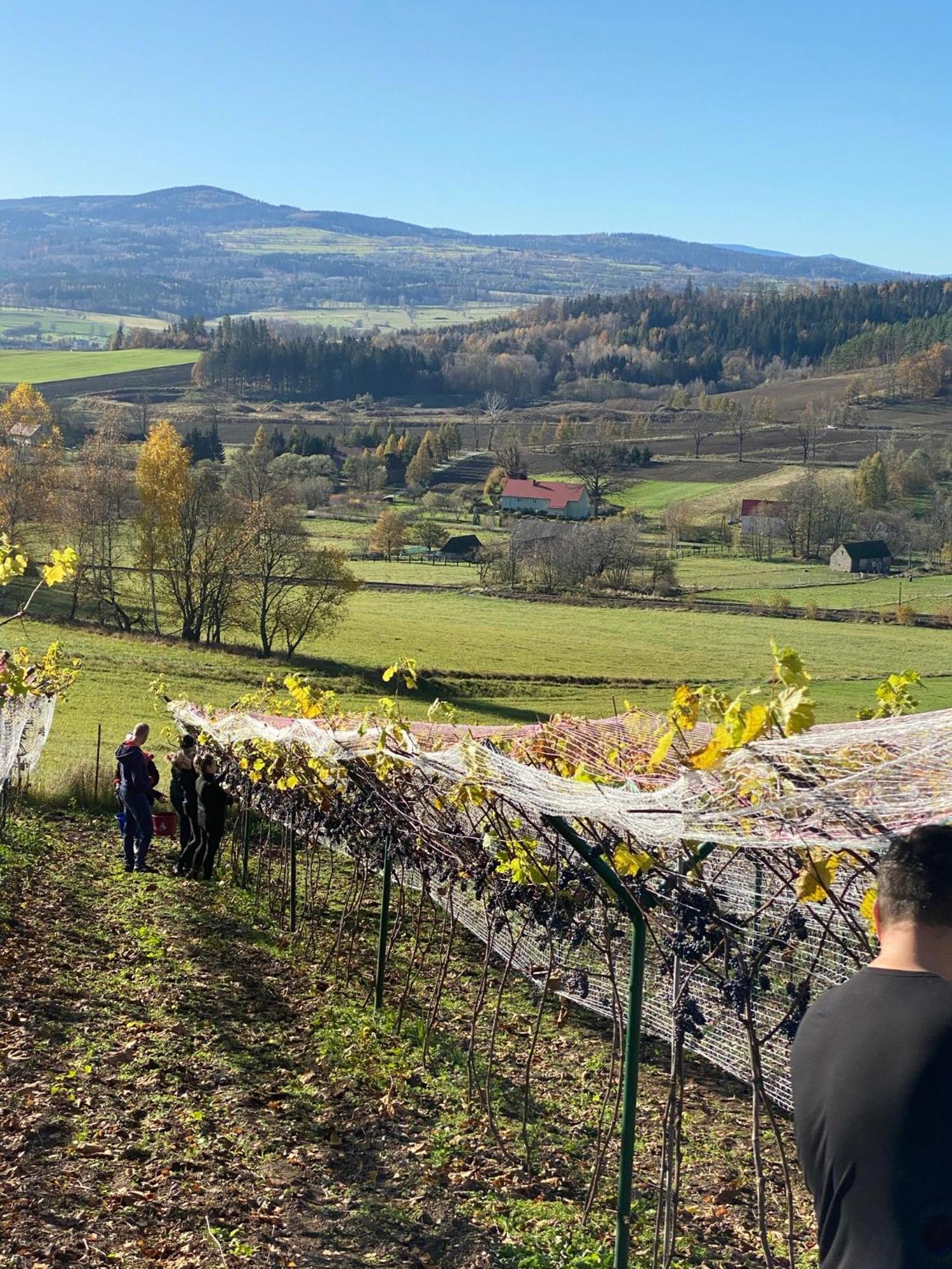 Marciszow Agroturystyka Agro-Podkowka מראה חיצוני תמונה